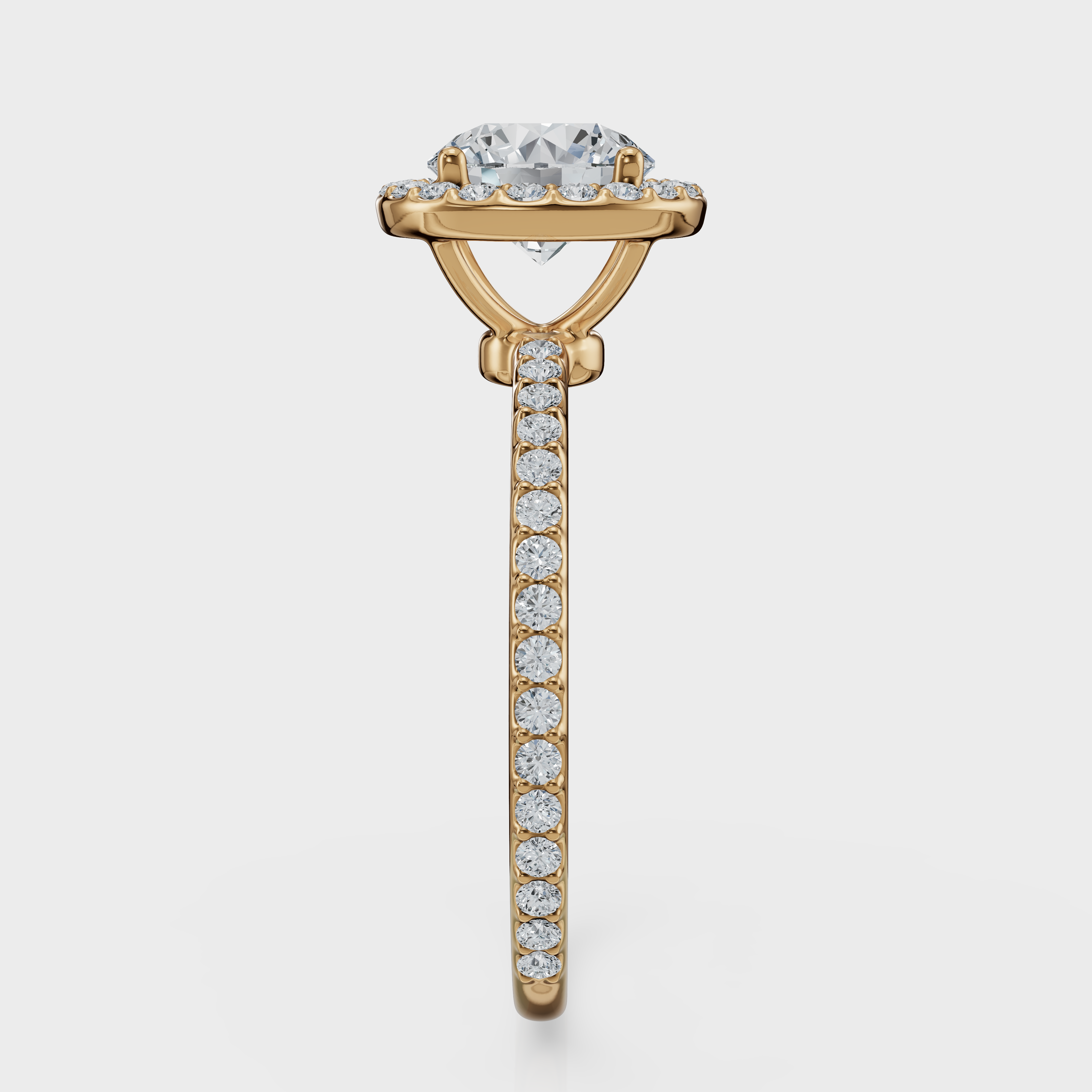 Round Cut Halo with Pavé Band Ring– Diamonds