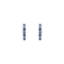 Amethyst & Sapphire Small Hoops
