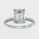 Emerald Cut with Pavé Band Ring – Diamonds