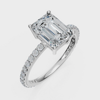 Emerald Cut with Pavé Band Ring – Diamonds