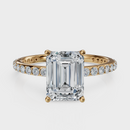 Emerald Cut with Pavé Band Ring – Diamonds