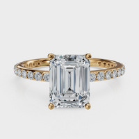 Emerald Cut with Pavé Band Ring – Diamonds