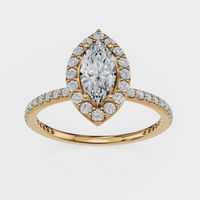 Marquise Cut Halo with Pavé Band Ring – Diamonds