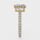 Oval Cut Halo Ring – Diamonds
