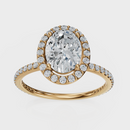 Oval Cut Halo with Pavé Band Ring – Diamonds
