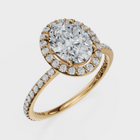 Oval Cut Halo with Pavé Band Ring – Diamonds