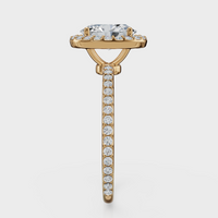 Oval Cut Halo with Pavé Band Ring – Diamonds