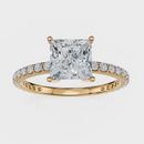 Princess Cut with Pavé Band Ring– Diamonds