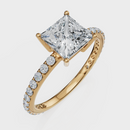 Princess Cut with Pavé Band Ring– Diamonds