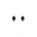 Oval Sapphire & Diamond Halo Studs