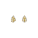 Pear Yellow Diamond & Diamond Halo Studs