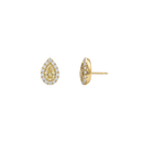 Pear Yellow Diamond & Diamond Halo Studs